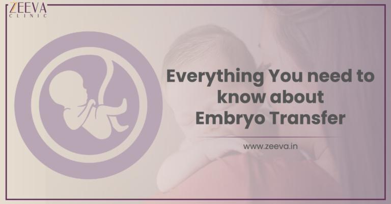 Everything You Need to Know About Embryo Transfer