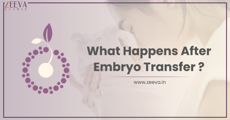 What Happens After Embryo Transfer?