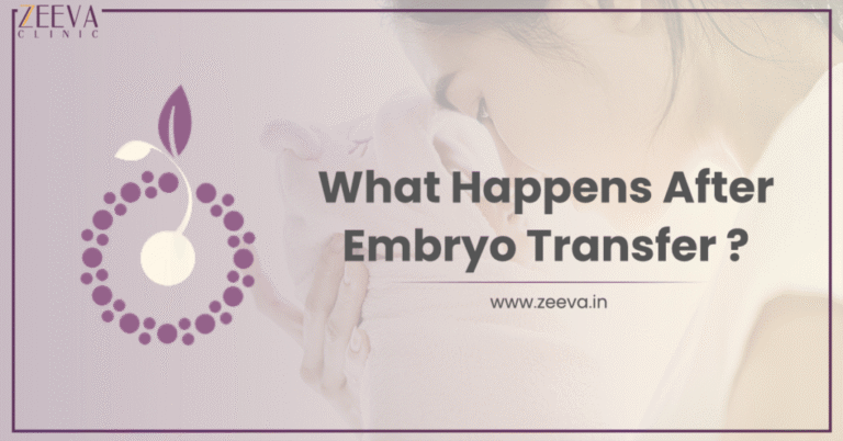 What Happens After Embryo Transfer?