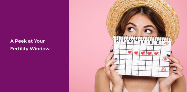 A Peek at Your Fertility Window