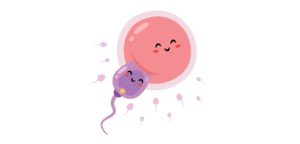 IVF sperm and egg illustration