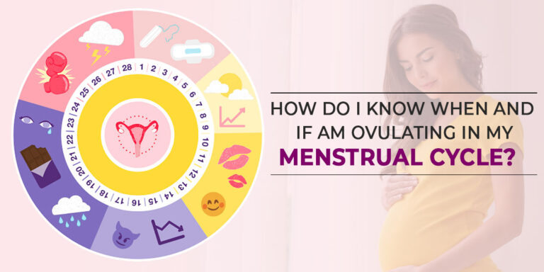 How do I know when and if am Ovulating in my Menstrual Cycle?