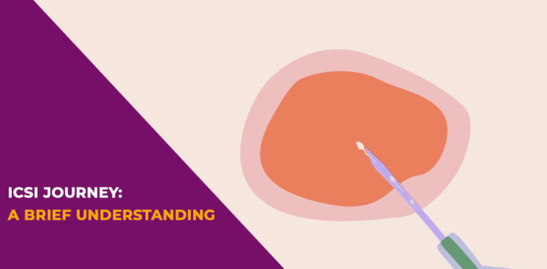 ICSI Journey: A brief understanding