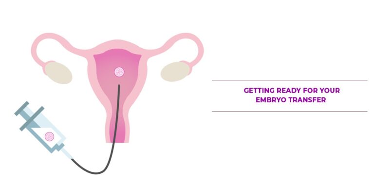 Getting Ready For Your Embryo Transfer