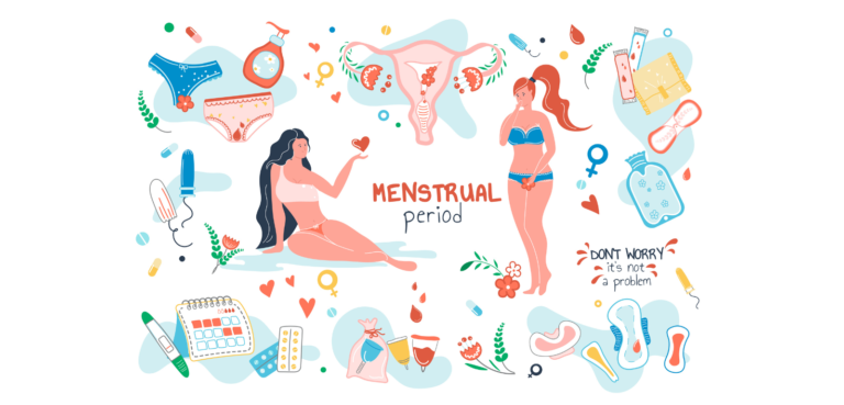 Progesterone Hormone: Role in Menstrual Cycle & Pregnancy