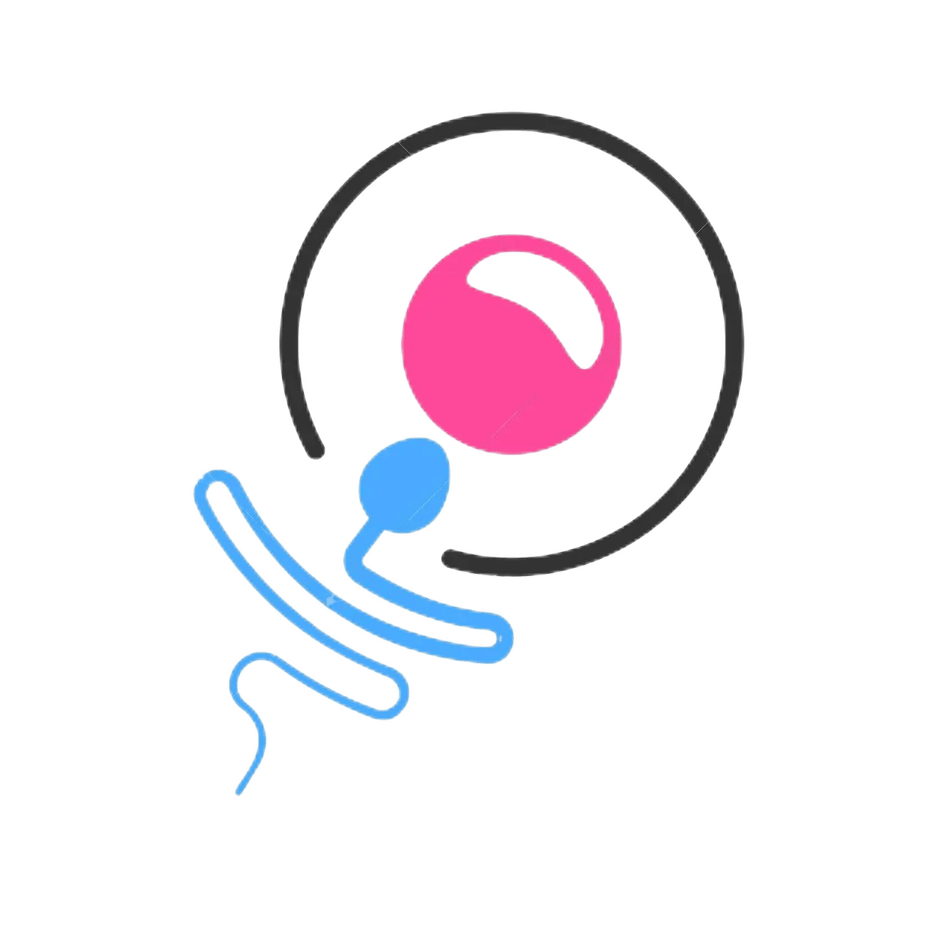 IVF Failure Evaluation